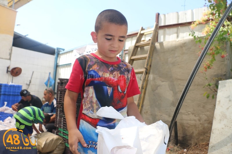 lod8om ada73y (22).JPG